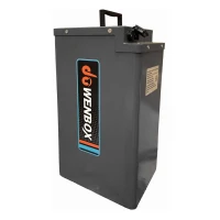 Аккумулятор для Wenbox W33 Pro / W33 Max 60v 30ah железофосфат